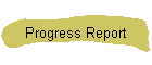 Progress Report